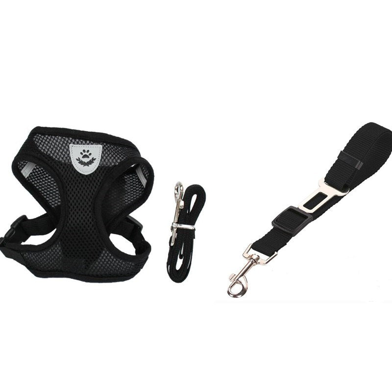 Adjustable Pet Car Seat Belt – Safety Travel Leash for Pets - 50kobo