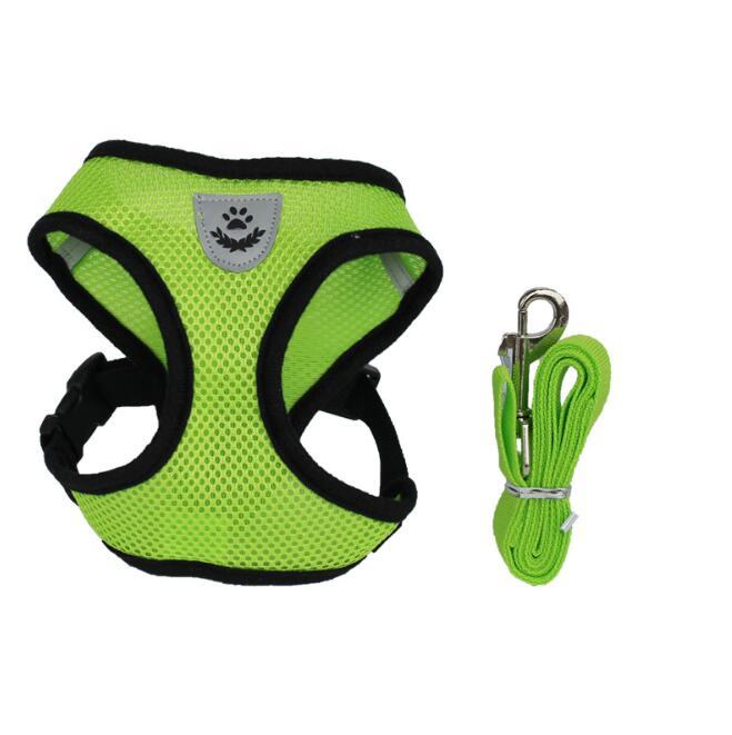 Adjustable Pet Car Seat Belt – Safety Travel Leash for Pets - 50kobo