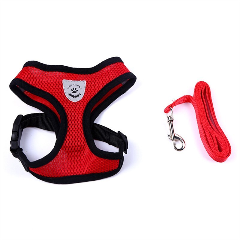 Adjustable Pet Car Seat Belt – Safety Travel Leash for Pets - 50kobo