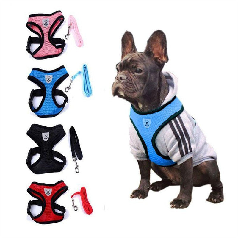 Adjustable Pet Car Seat Belt – Safety Travel Leash for Pets - 50kobo