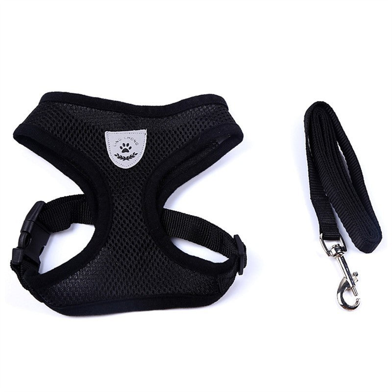 Adjustable Pet Car Seat Belt – Safety Travel Leash for Pets - 50kobo