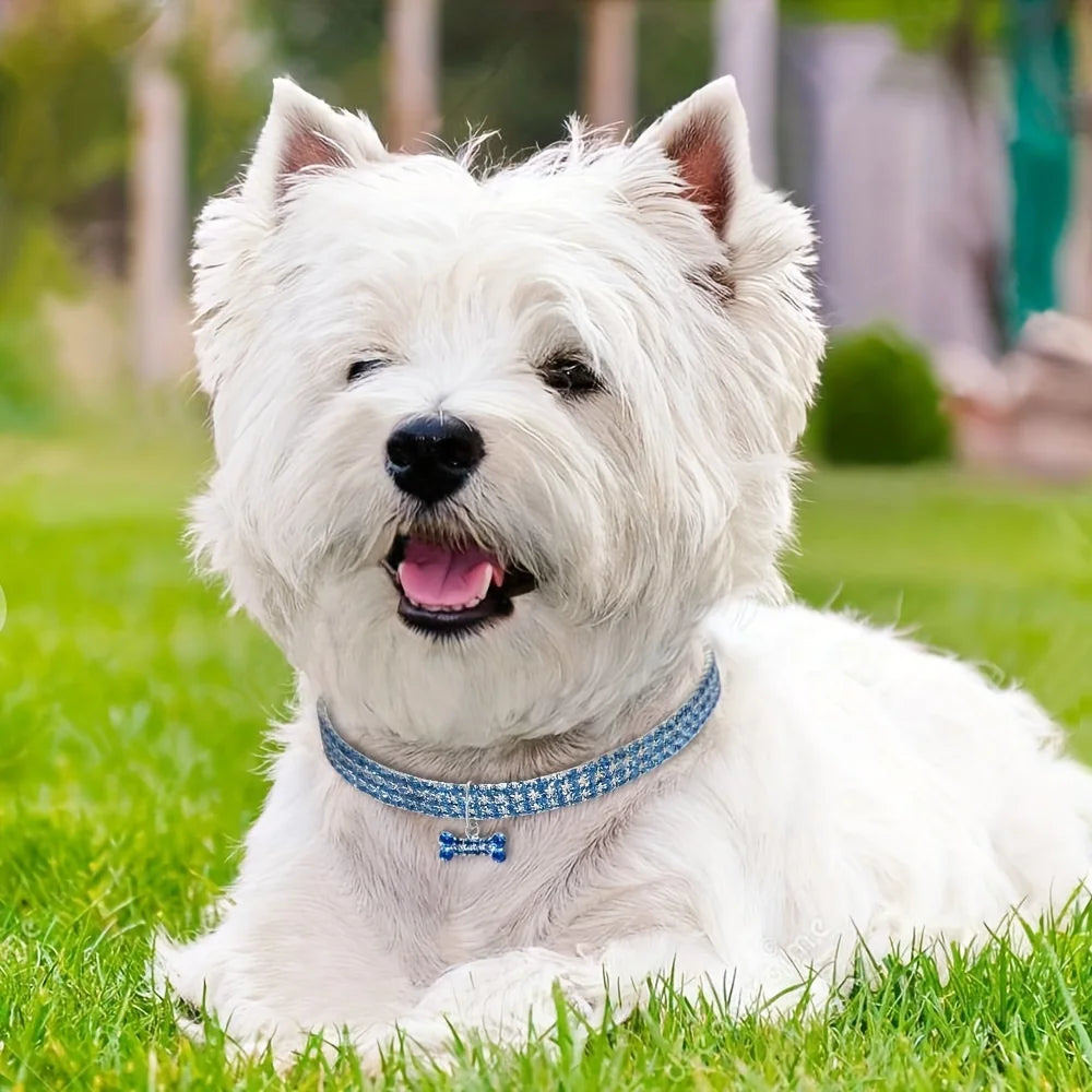 Adjustable Sparkly Necklace for Pets - 50kobo