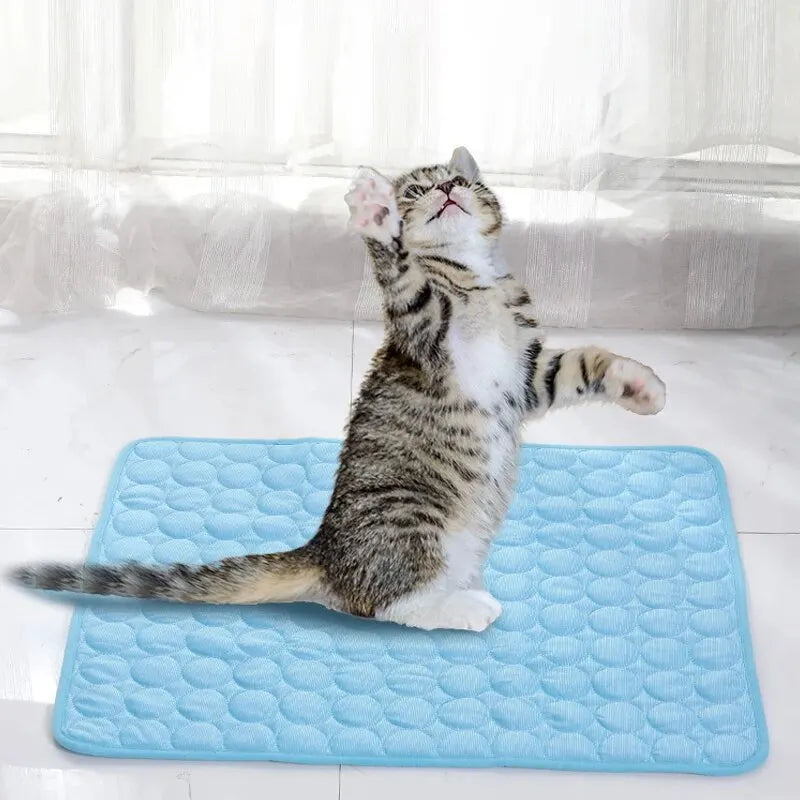 Pet Cooling Pad for Summer ! - 50kobo