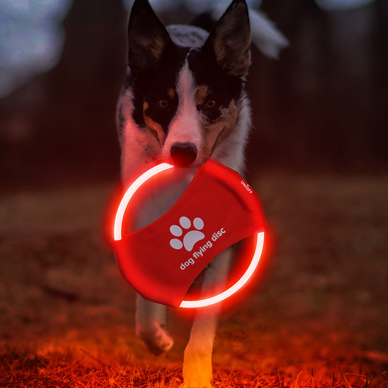 LED Glowing - Interactive Toy for Night Play & Training - 50kobo