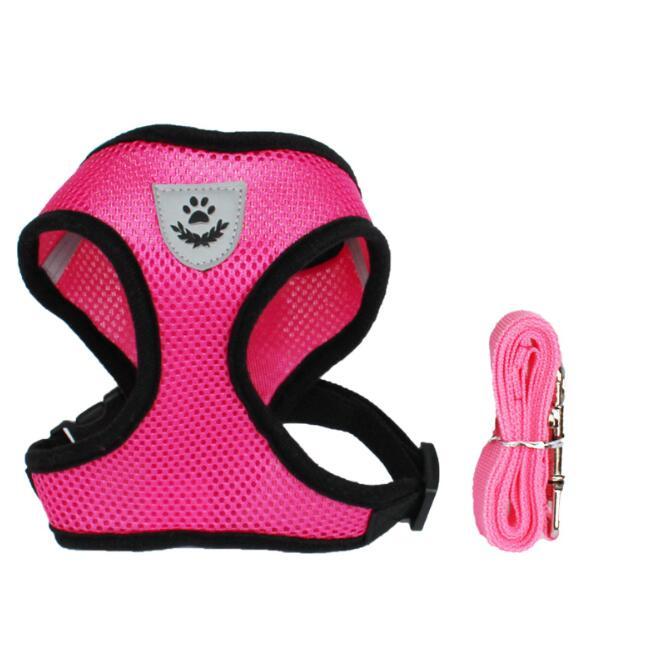 Adjustable Pet Car Seat Belt – Safety Travel Leash for Pets - 50kobo