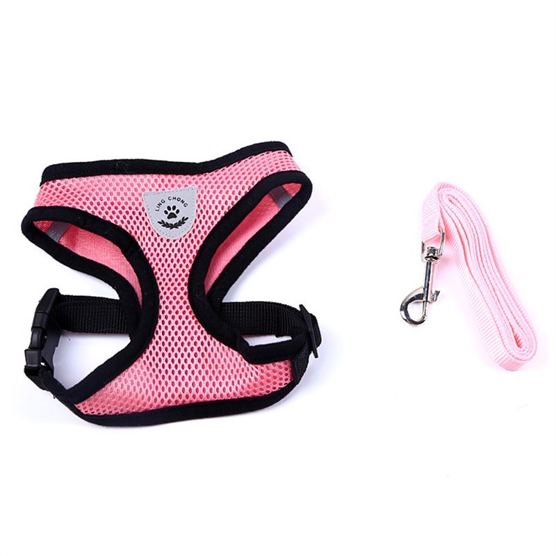 Adjustable Pet Car Seat Belt – Safety Travel Leash for Pets - 50kobo