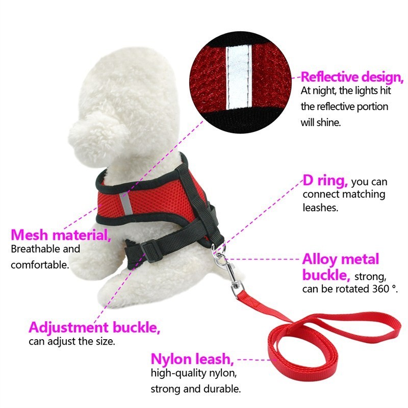 Adjustable Pet Car Seat Belt – Safety Travel Leash for Pets - 50kobo