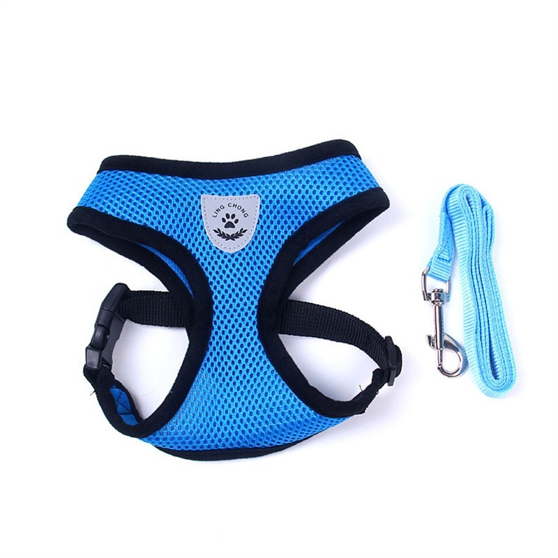 Adjustable Pet Car Seat Belt – Safety Travel Leash for Pets - 50kobo