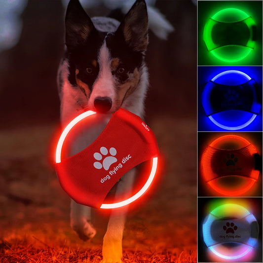 LED Glowing - Interactive Toy for Night Play & Training - 50kobo